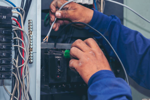 Best Home Electrical Repair  in Park View, IA